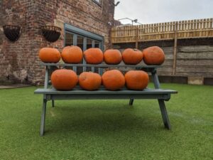 Lots of orange pumpkins sat on a bench in a garden