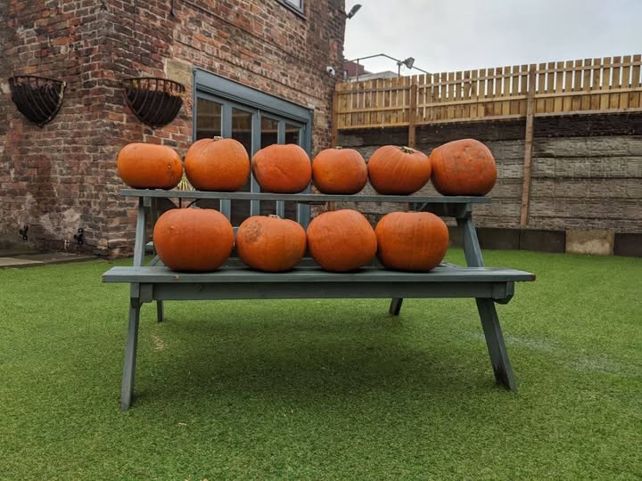 Lots of orange pumpkins sat on a bench in a garden