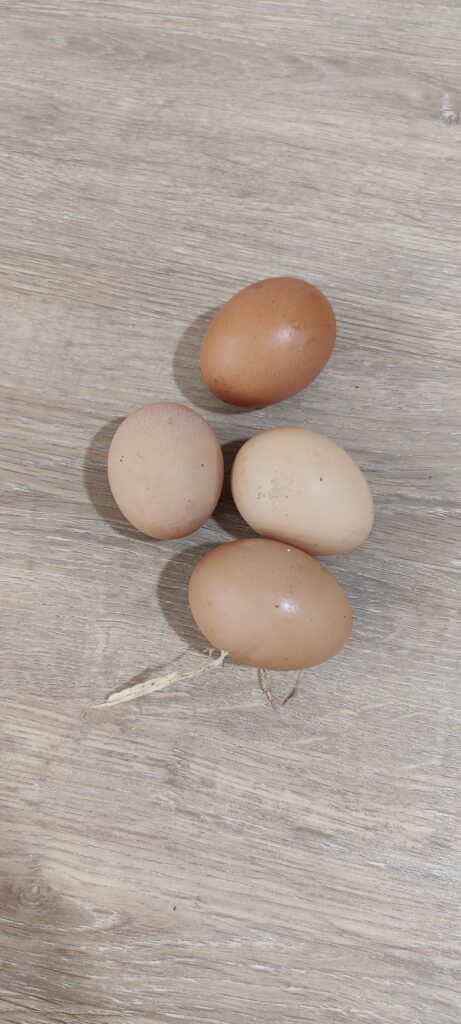 four free range eggs on a wood table