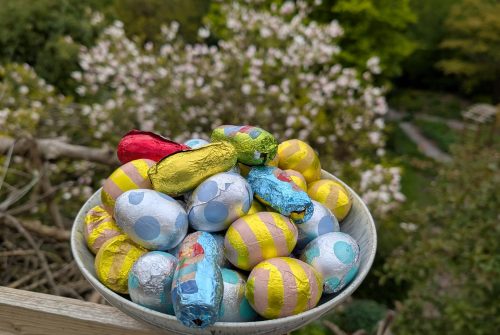 Easter Egg hunt 2025 at The Eden-field Project Easter Egg hunt 2025 at The Eden-field Project